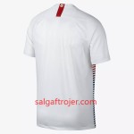 Chile Fodboldtrøjer Udebanesæt 2018 Kort ærmer